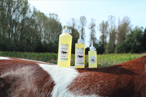 Huile CPL The Natural Way Laura Cleirens Produit 100% naturel solution moyenne CPL Lymphœdème chronique progressif chevaux race sobre cheval de trait sang froid Frison Tinker Cob Shire MLD thérapeute Manuel Drainage Lymphatique chaussette cheval chaussettes acariens jambes papier peint plaies plis peau