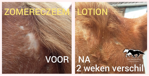 Lotion d'été contre l'eczéma The Natural Way résultats