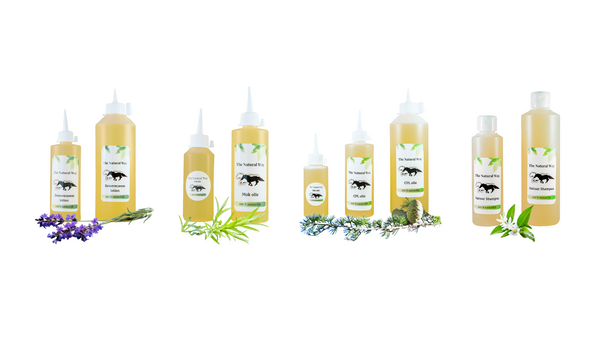 The Natural Way Laura Cleirens 100 % natuurlijke huid verzorgingsproducten voor paarden, gespecialiseerd in het natuurlijk holistisch behandelen van zomereczeem, jeuk, mok, rasp, regenschurft, rainrot, CPL, Chronisch progressief lymfoedeem natuur shampoo bij paarden