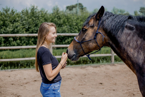 Naturopathy for summer eczema and itching horses, Celine Schiks - From Nature To Health, Laura Cleirens - The Natural Way