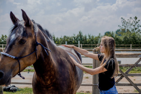 Naturopathie pour l'eczéma d'été et les démangeaisons des chevaux, Céline Schiks - From Nature To Health, Laura Cleirens - The Natural Way