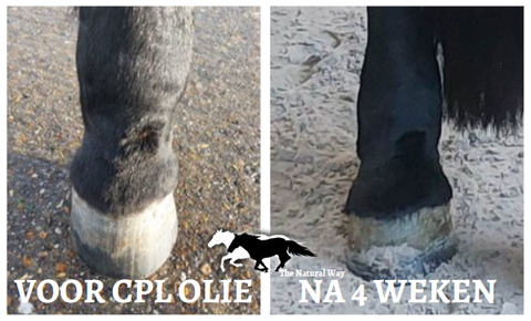 Huile CPL The Natural Way Laura Cleirens, produit 100% naturel et durable pour chevaux atteints de lymphœdème chronique progressif CPL