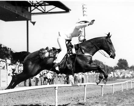 Pendleton Round Up Queen 