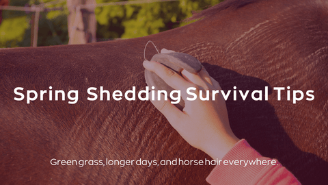 Brushing horse for shedding season