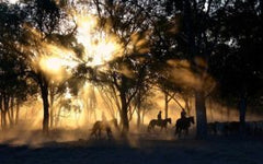 sunset horse trail ride