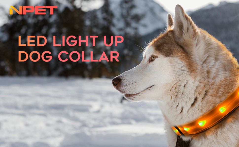 NPET dog collar