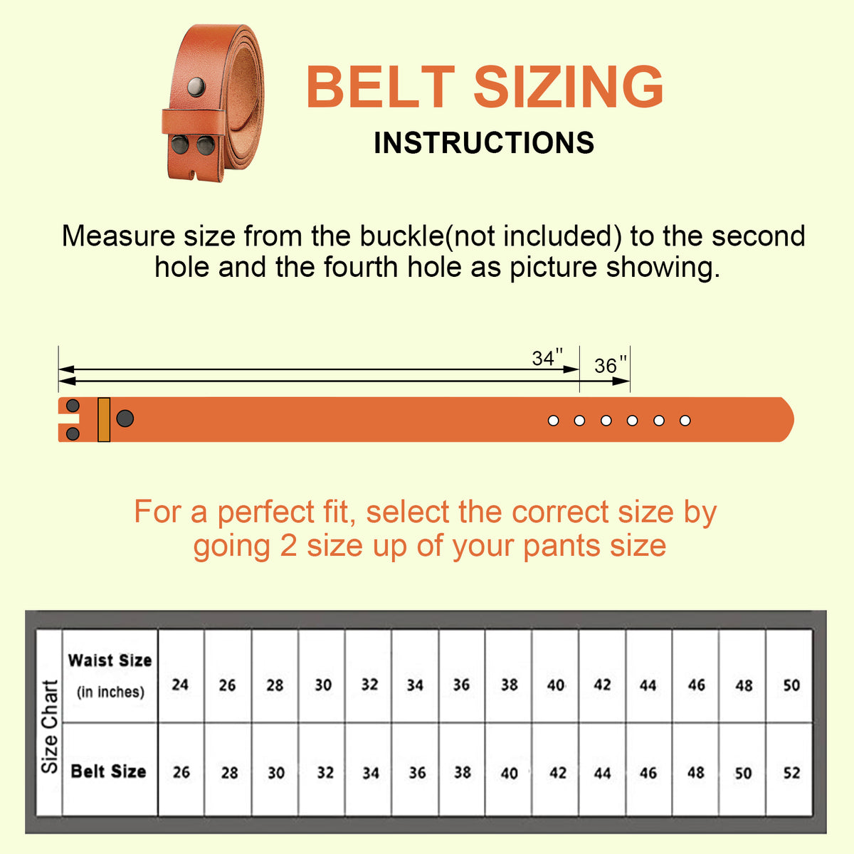 NPET Casual Leather Belt No Buckle – NPET Online Store