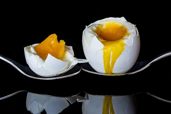 Egg yolks good for for thyroid
