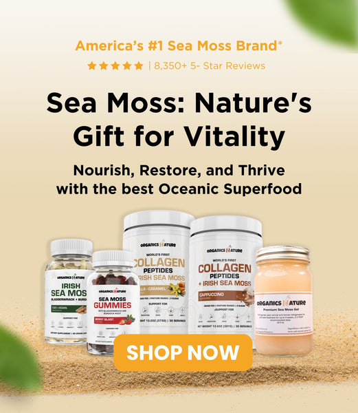 Mobile Banner Sea moss.jpg__PID:89fd811a-4811-4120-bcc6-376e072b6c1f