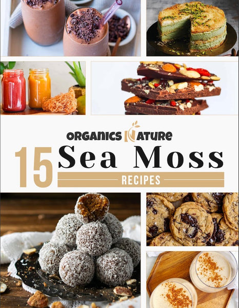 Sea moss recipe book