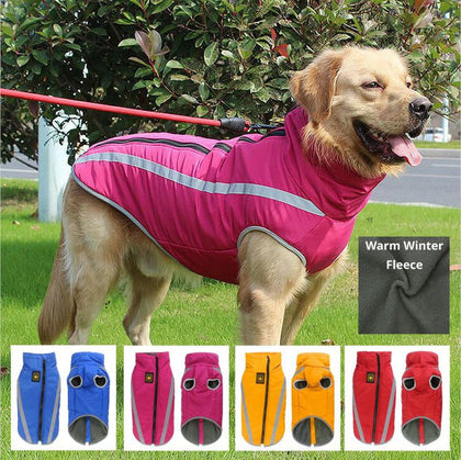 large dog vest for winter