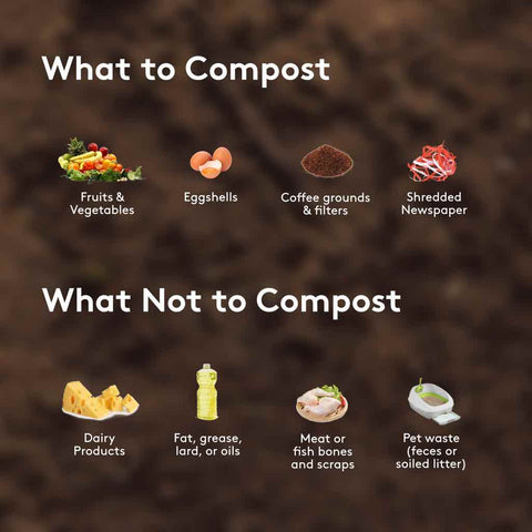 Turn your food scraps into garden gold! A beginners guide to composting 