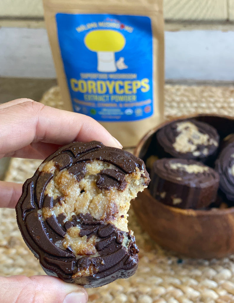 Cordyceps Choco-Chip Cookie Dough Bites (Paleo Vegan GF) – Mālama ...