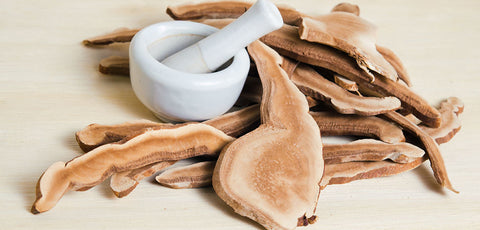 How Reishi Mushroom powder can improve overall well-being