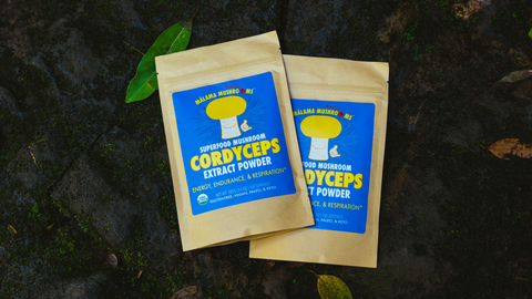 Incorporating Cordyceps militaris into Your Wellness Routine