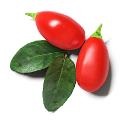 Goji Berry