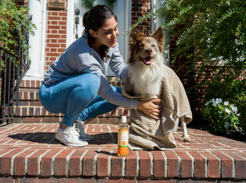 Gifting Puracy Pet Shampoo