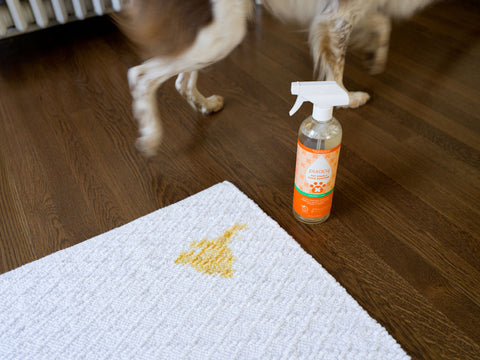 Gifting Puracy Pet Stain and Odor Remover