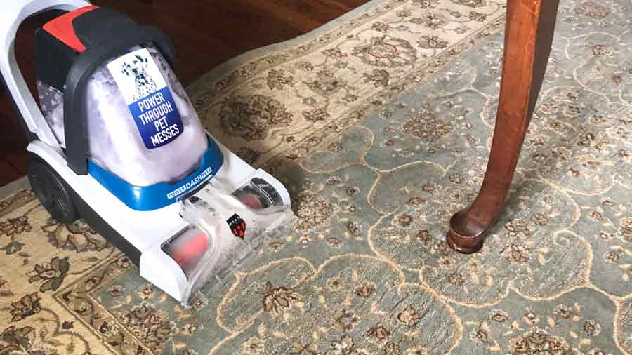 carpet cleaner for pet stains