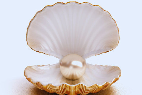 Pearl inside a shell