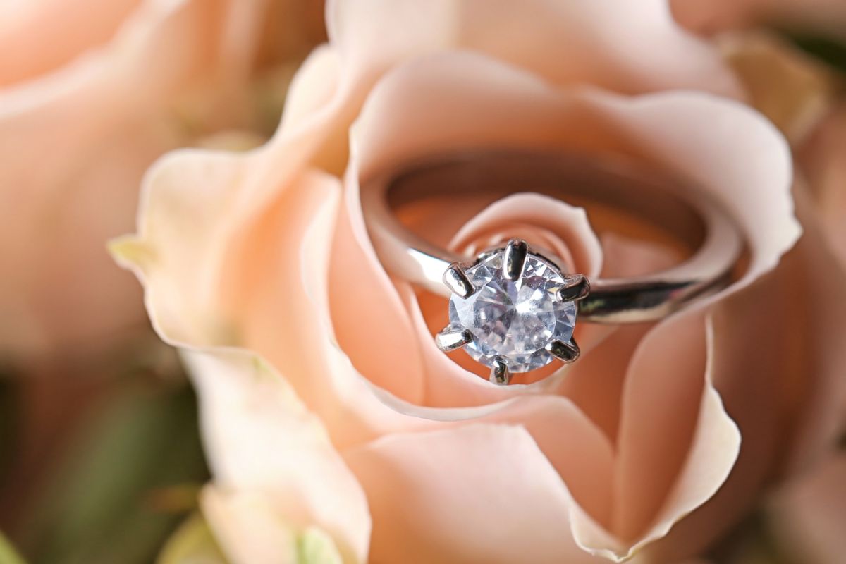 Red rose with diamond ring inside covered with water droplets Stock Photo -  Alamy