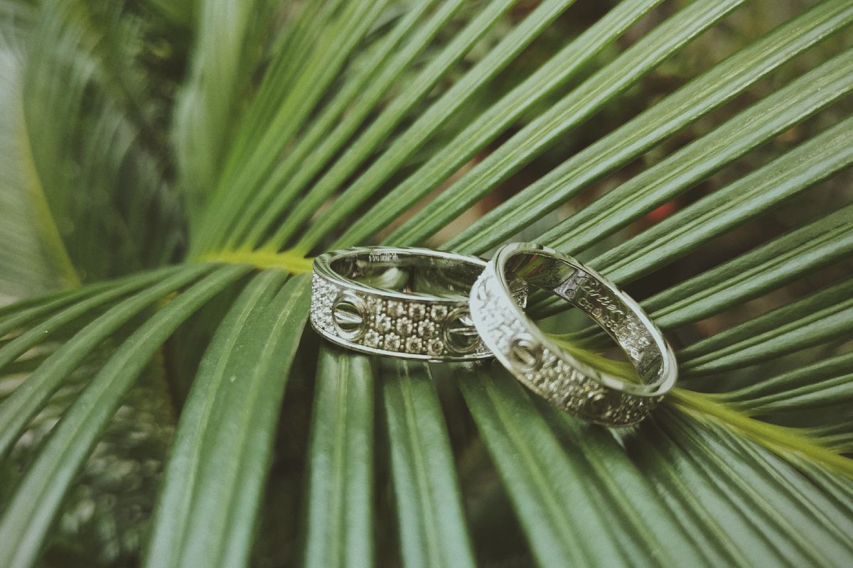 Two beautiful wedding bands kept together on the big plant's leaf.