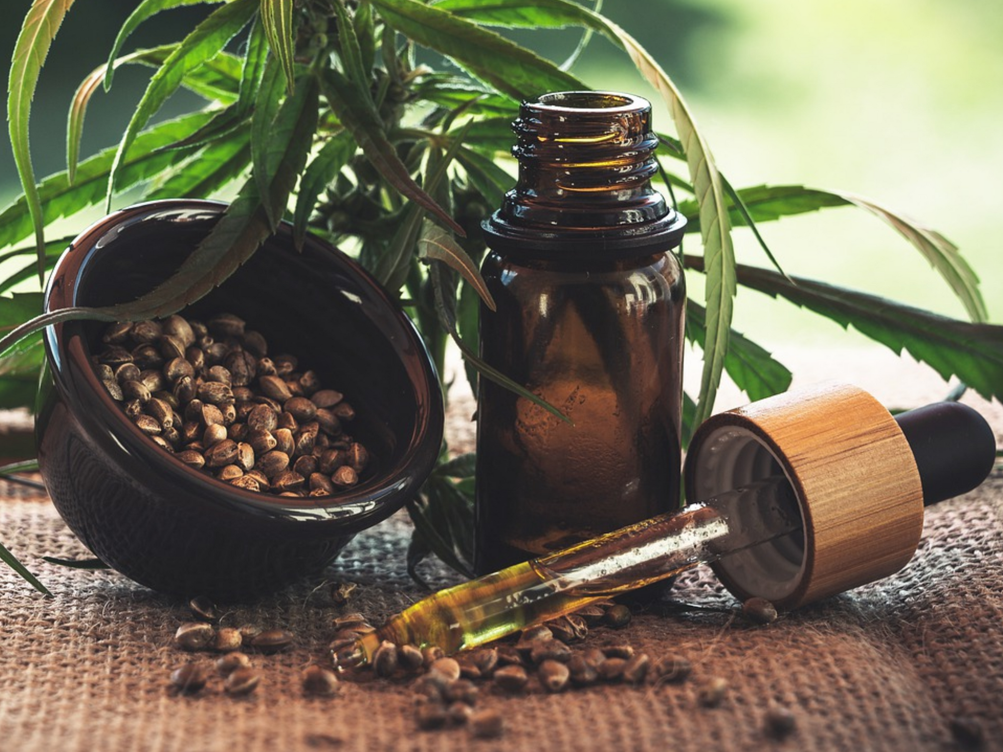 CBD and Inflammation: Everything You need to Know