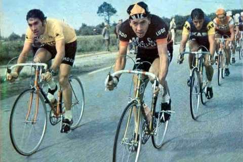 Herman Van Springel Meilleur cycliste belges de l'histoire.