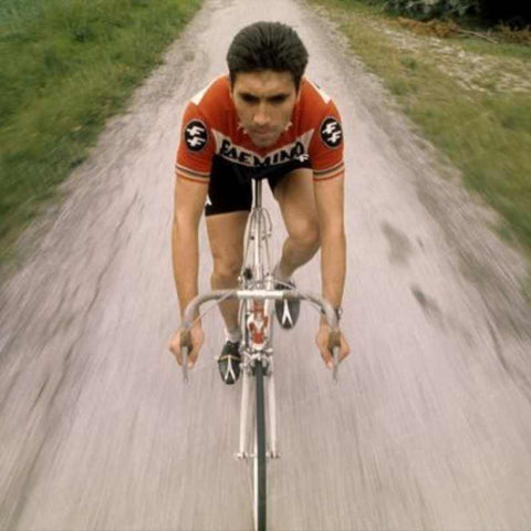 Meilleur puncheur de l'histoire du cyclisme Eddy Merckx