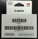 Canon qy6-8035-010 pixma megatank tête d'impression couleur
