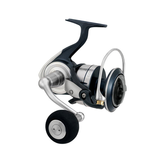 Fish City Hamilton – Daiwa