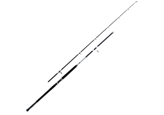 Fish City Hamilton – Saltwater Surf / Rock Rods