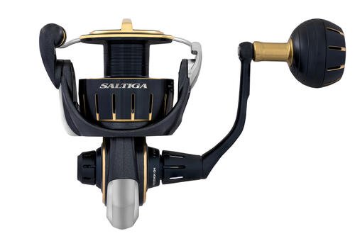 Fish City Hamilton – Daiwa 20 Saltiga 10000-H Spin Reel