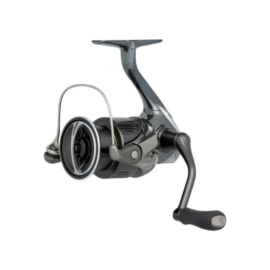 Fish City Hamilton – Shimano Stella SW 6000HG C Spin Reel