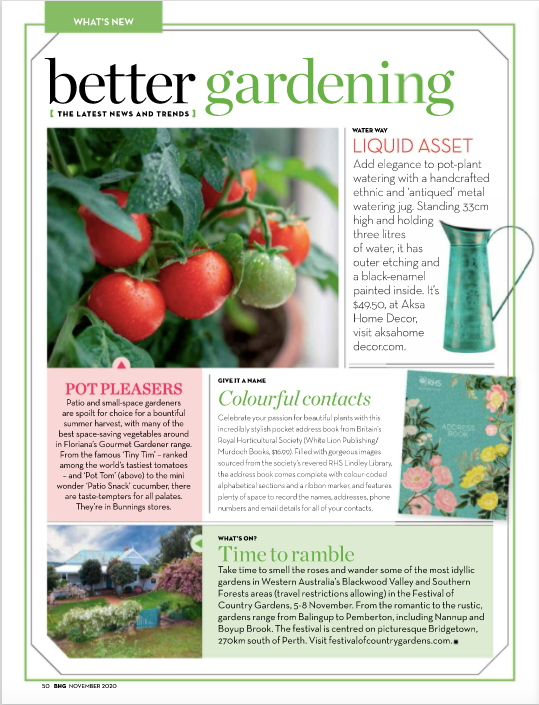 Green Watering Can/Jug - Copper in Better Homes & Garden Nov 2020 Issue