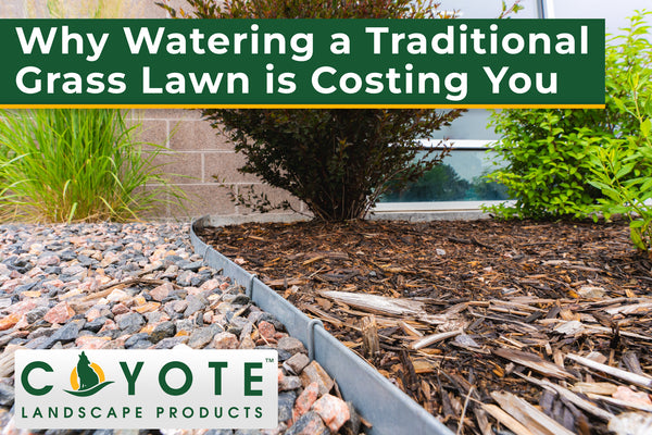 Why Watering A Traditional grass lawn is costing you and how to fix it with lawn edging