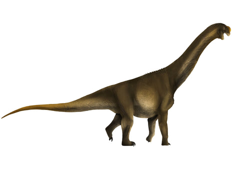 Aragosaurus fossil crates