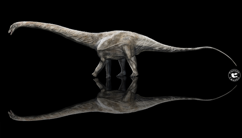 SUpersaurus worlds longest dinosaur