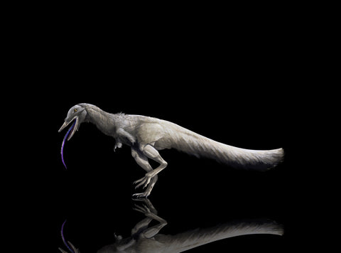 alvarezsaurus mononykus shuvuuia