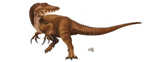 megaraptor
