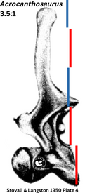 Acrocanthosaurus vertebra