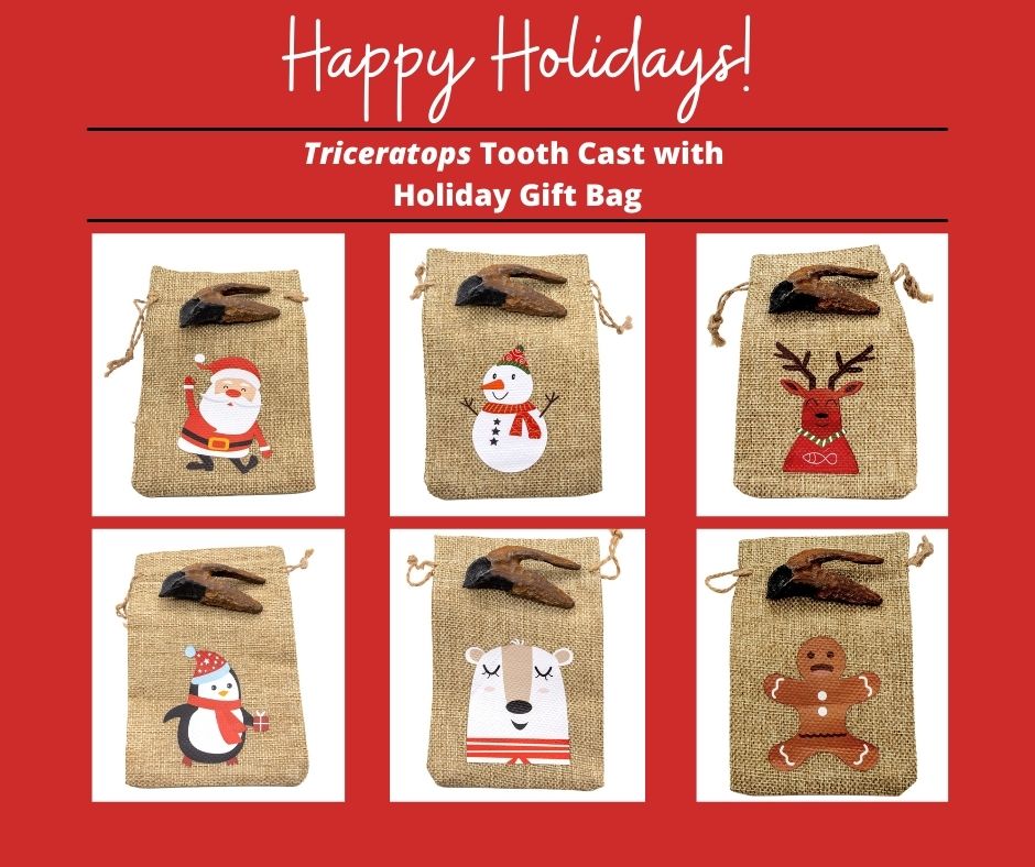 Triceratops Tooth Christmas Gift Bag and Artwork