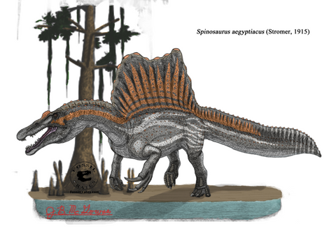Fossil Crates Spinosaurus