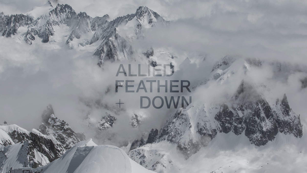 Down Wash by Allied Feather
