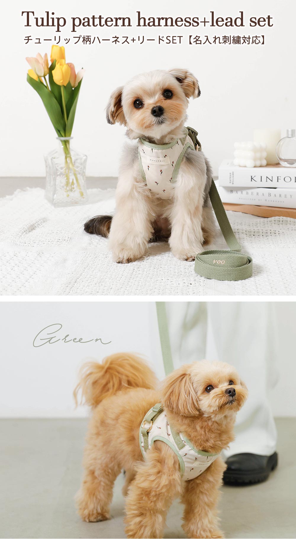 Small dog/harness/lead set/Cute/cool/main