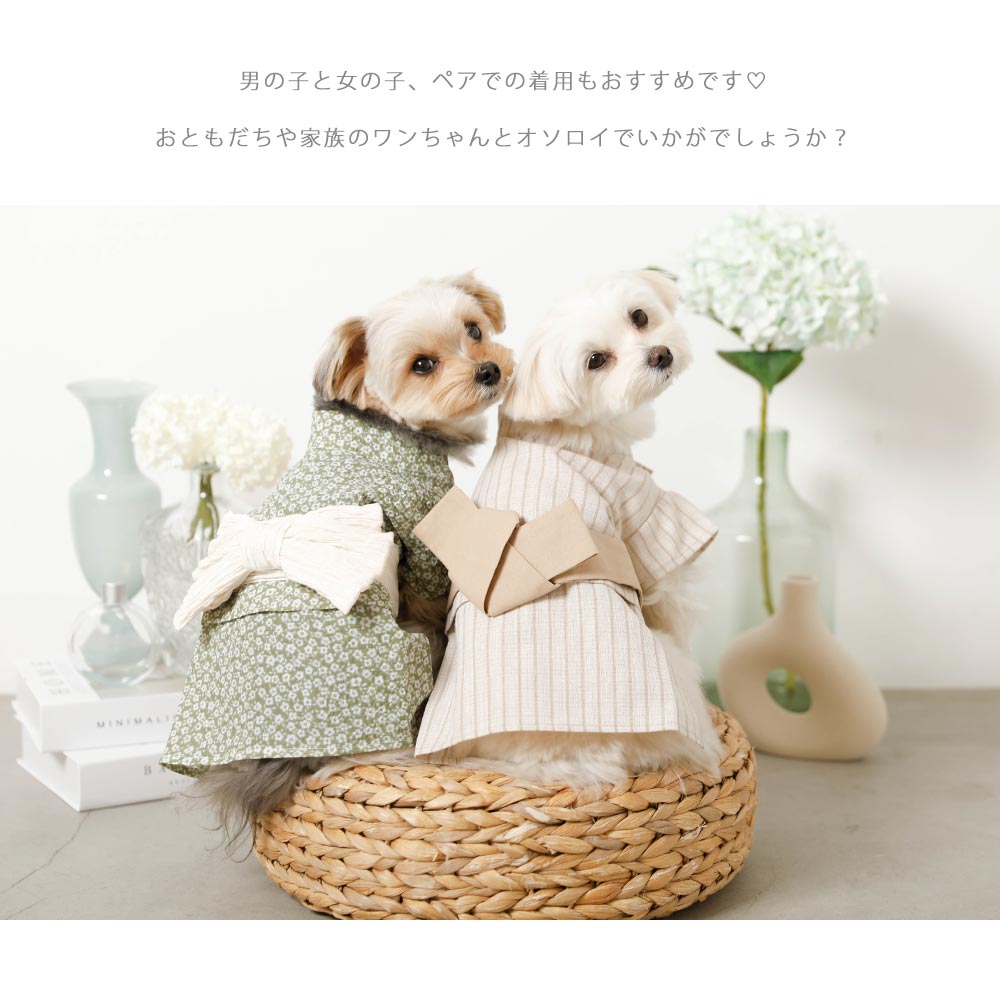 Small dog/Contact cold/summer/clothes/yukata/point 3