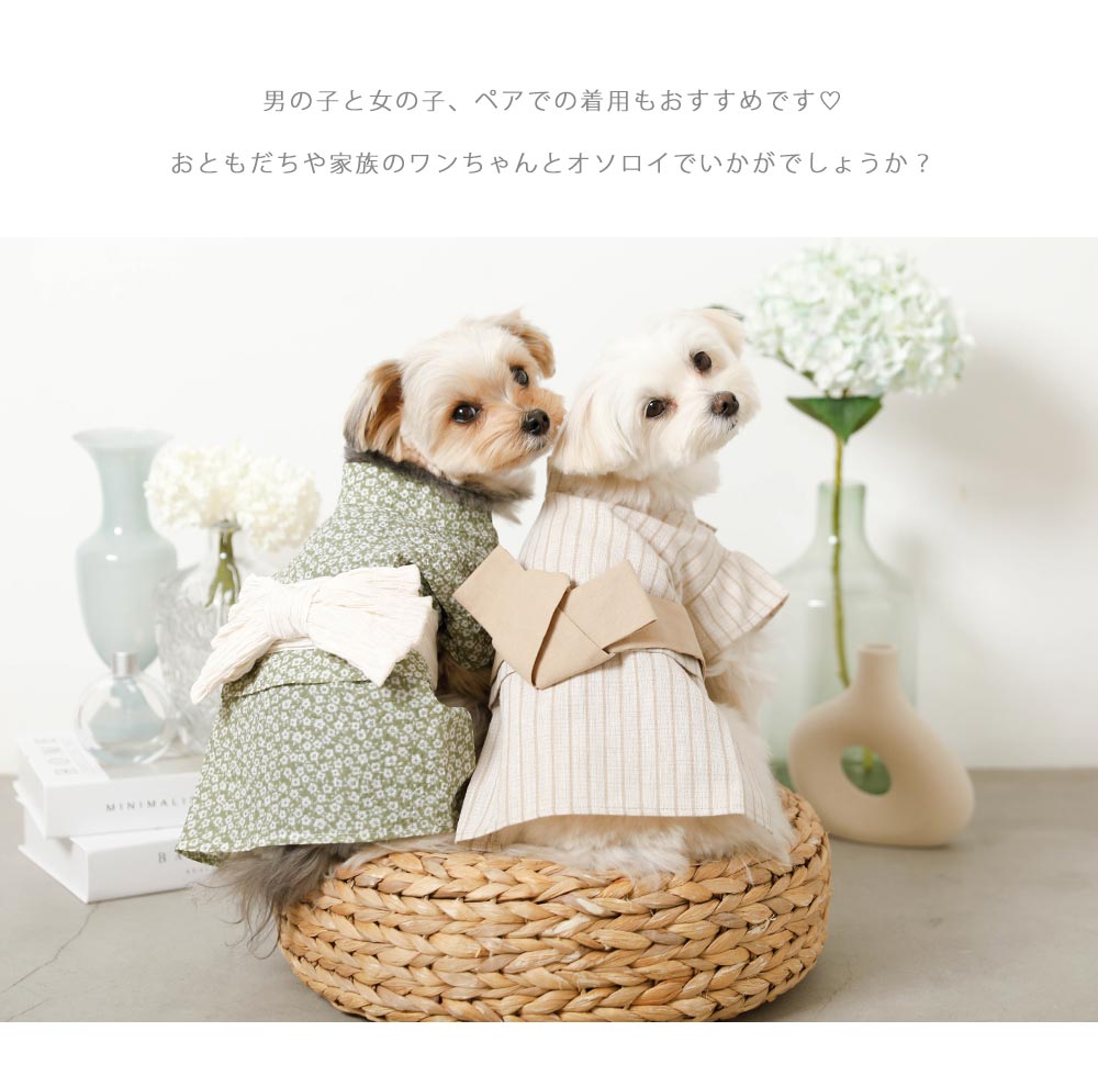 Small dog/Contact cold/summer/clothes/yukata/point 3