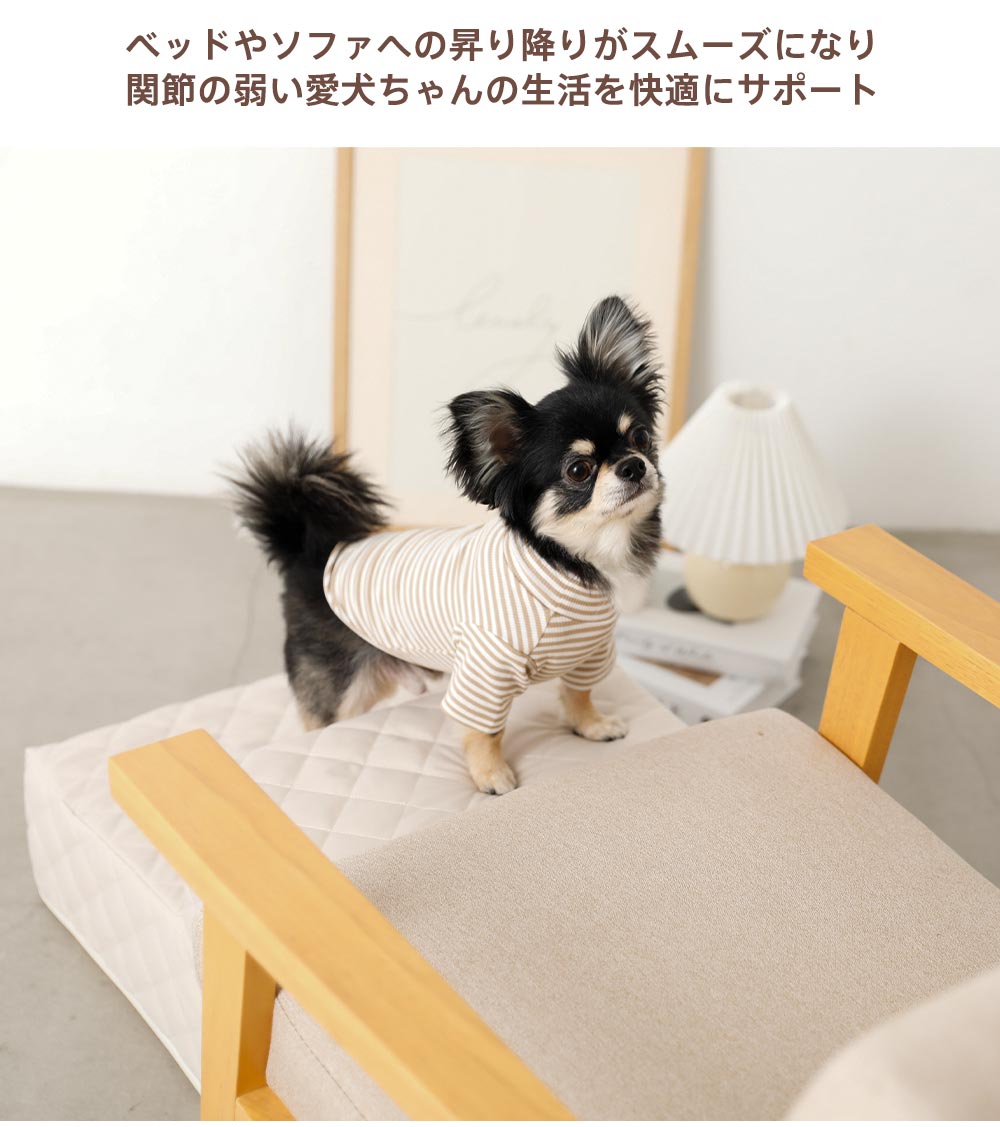 Small dog/interior/stairs/cushion/senior dog/Puppy/Main image/Recommended point 2