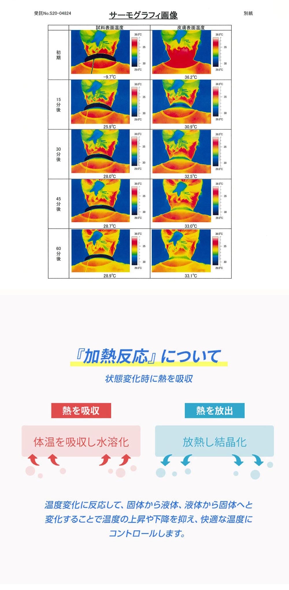 小型犬/熱中症対策/ネックリング/ポイント3