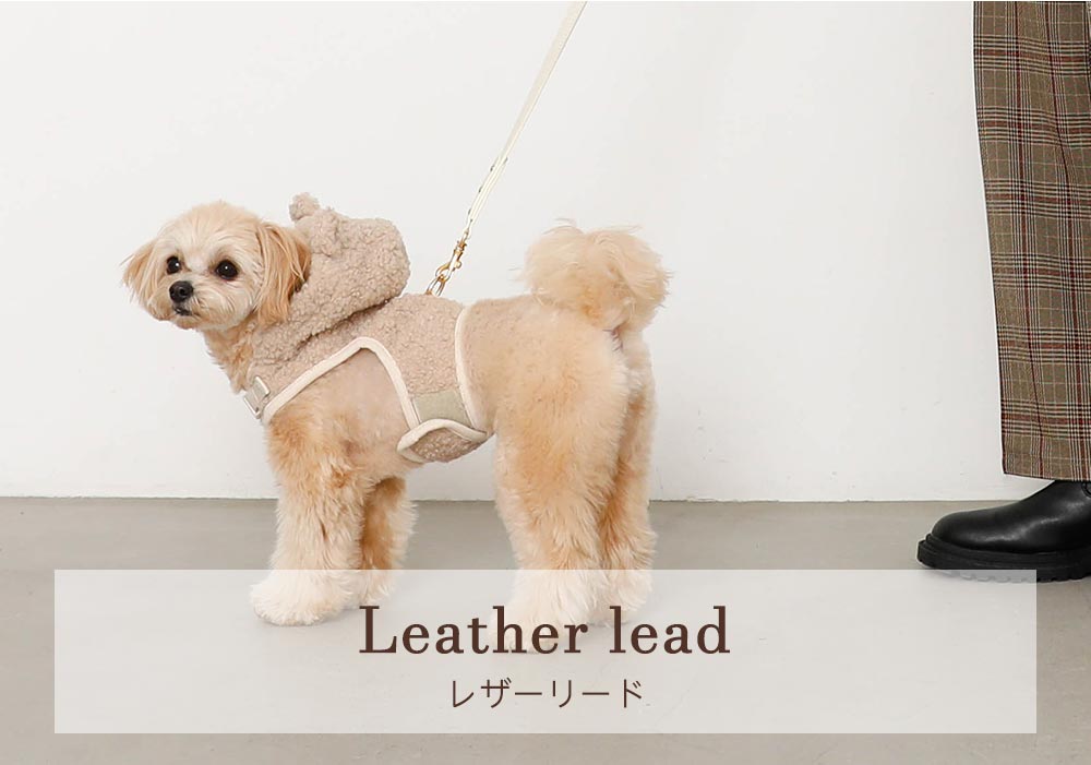 Small dog/harness/bore/bear ear/cute/coordinates item 1/leather lead